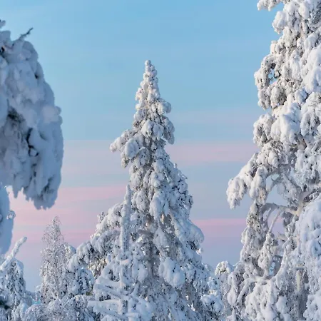 Mettonpesae By In Lapland *